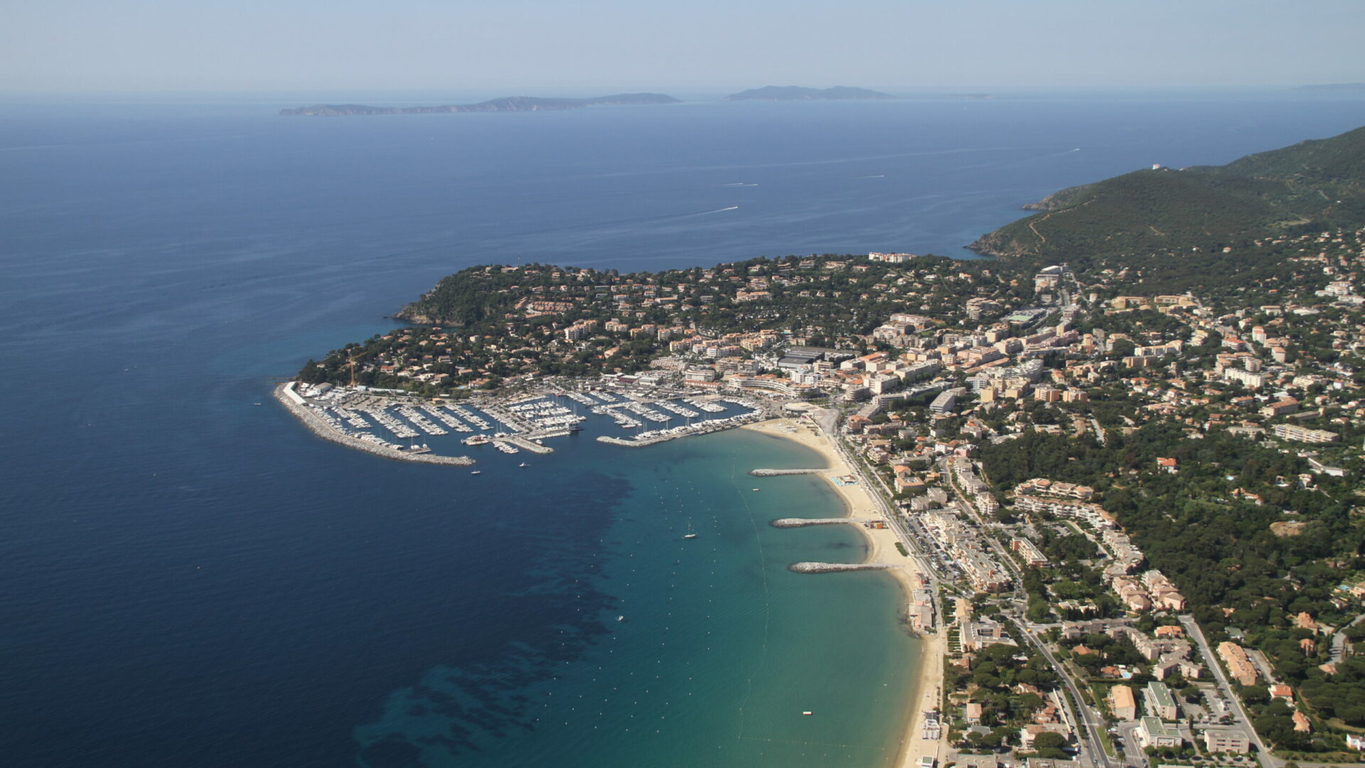 <span class="vcard">Henri Bonhomme</span>